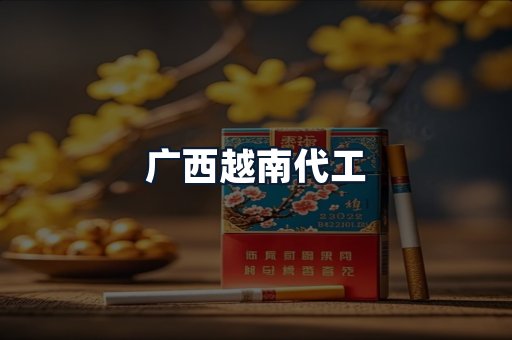 广西越南代工